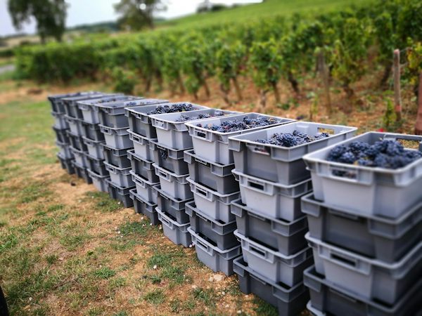 Foto bij Domaine Nicolas Ragot - Givry