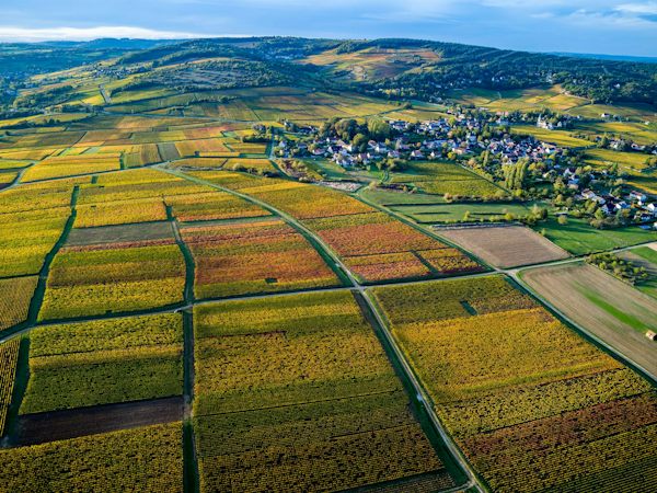Foto bij Domaine Nicolas Ragot - Givry