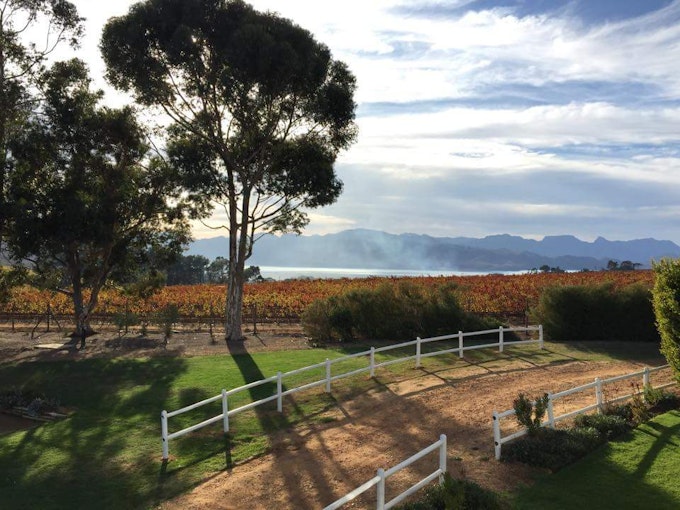 Marianne Wine Estate Zuid-Afrika