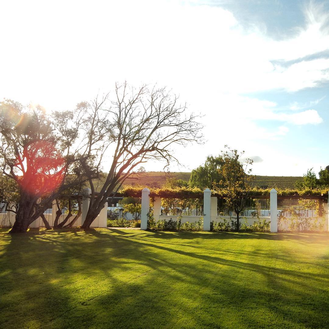 Spier Wine Estate Zuid-Afrika