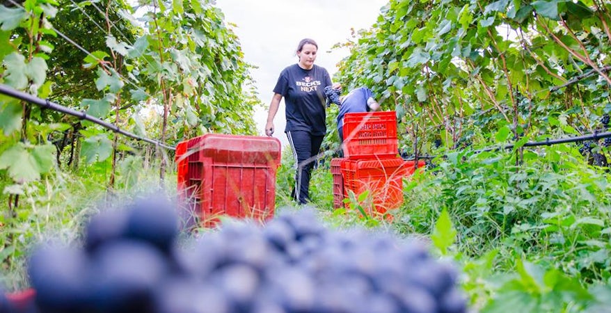 Foto bij De Vescovi Ulzbach