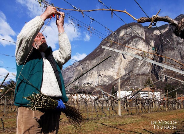 Foto bij De Vescovi Ulzbach