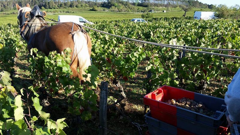 Foto bij Domaine Ballorin