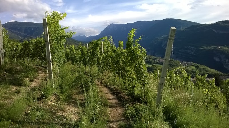 Foto bij Eugenio Rosi