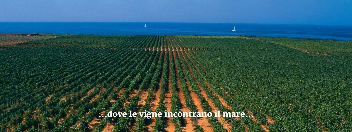 Foto bij Tenuta Gorghi Tondi